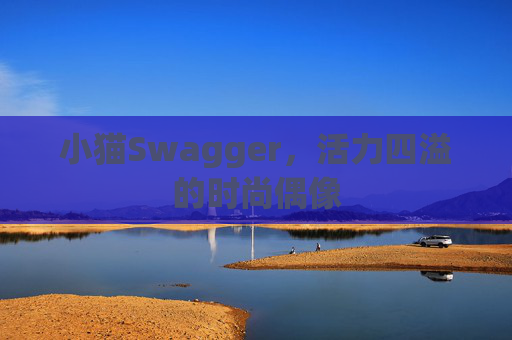 小猫Swagger,活力四溢的时尚偶像 小猫Swagger,活力四溢的时尚偶像