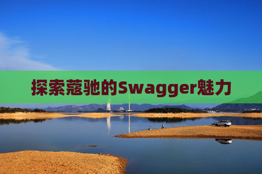 探索蔻驰的Swagger魅力