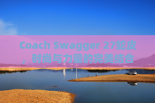 Coach Swagger 27蛇皮，时尚与力量的完美结合