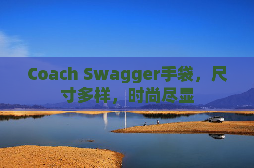 Coach Swagger手袋，尺寸多样，时尚尽显