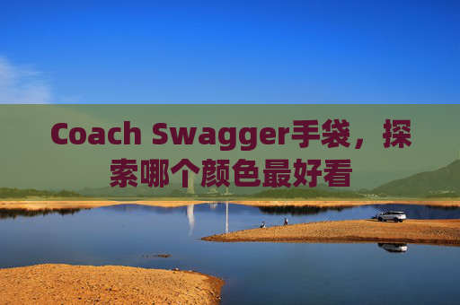 Coach Swagger手袋，探索哪个颜色最好看