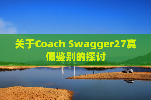 关于Coach Swagger27真假鉴别的探讨