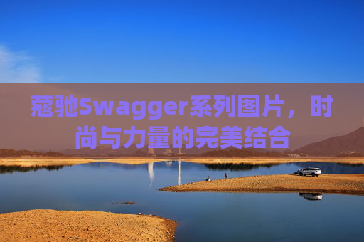 蔻驰Swagger系列图片，时尚与力量的完美结合